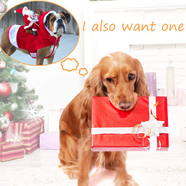 🔥Best Christmas Family Pajamas For Pets